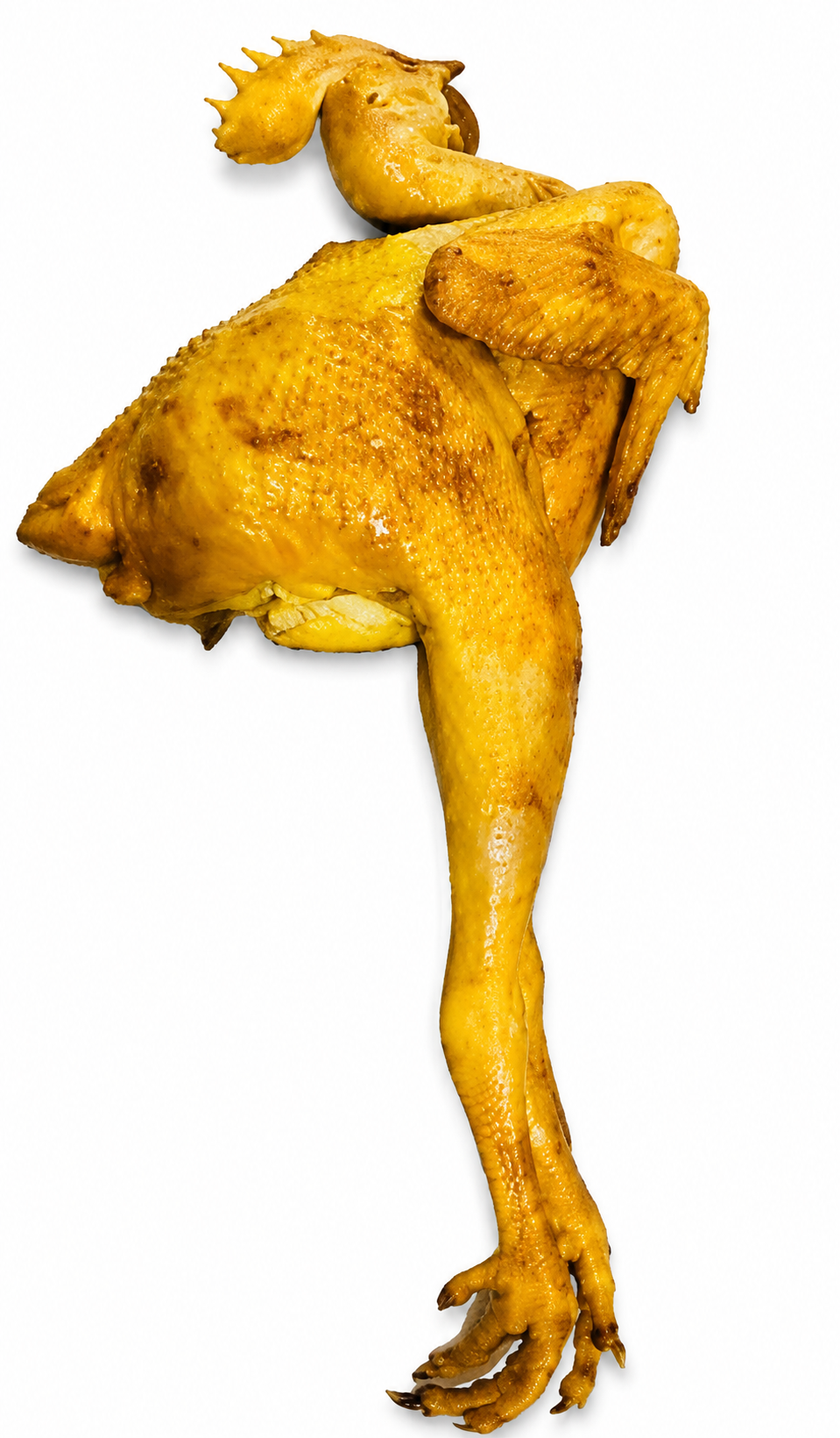 Pahari Murgi (Process)